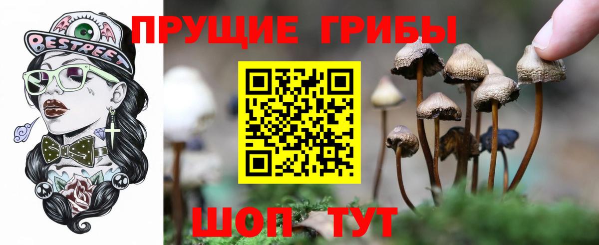 Галлюциногенные грибы Psilocybe Коркино