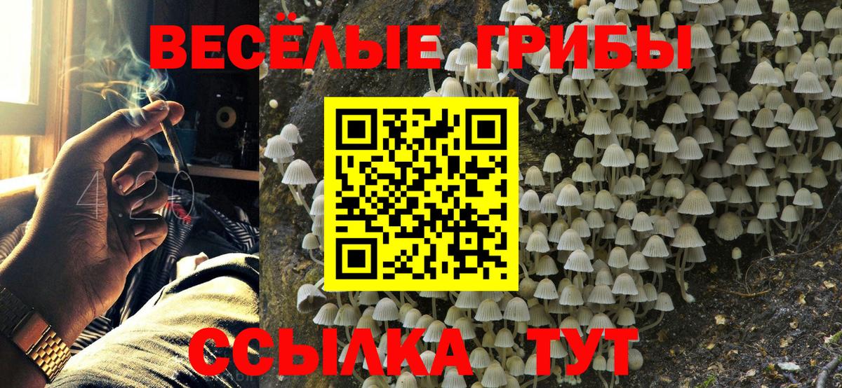 где найти   Вход с VPN  Коркино  Галлюциногенные грибы мухоморы 
